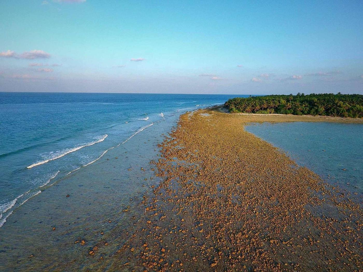 Waves breaking on the reef along the coast of Kelaa, Haa Alifu